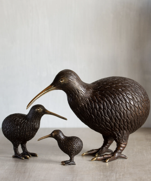 Bronze Kiwi Family